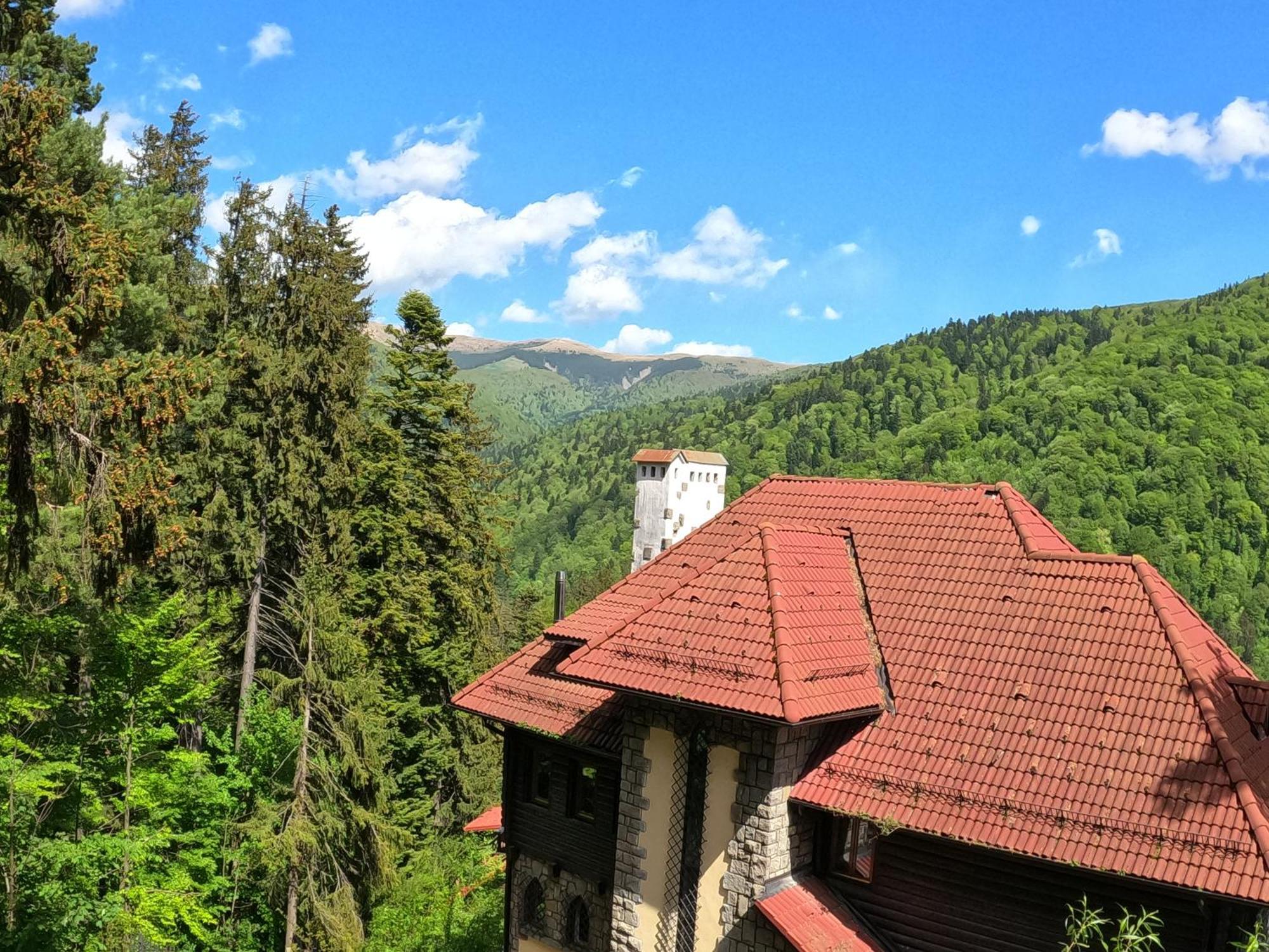 Casa Adina Hotel Sinaia Exterior photo