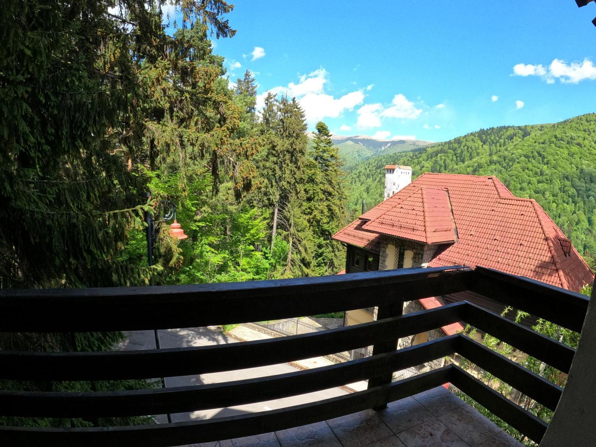 Casa Adina Hotel Sinaia Exterior photo