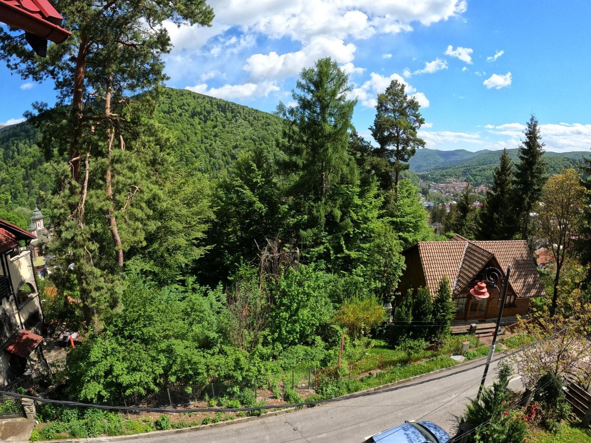 Casa Adina Hotel Sinaia Exterior photo