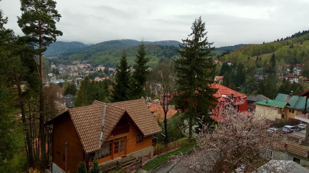 Casa Adina Hotel Sinaia Exterior photo